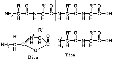 Tandem Peptide Spectra